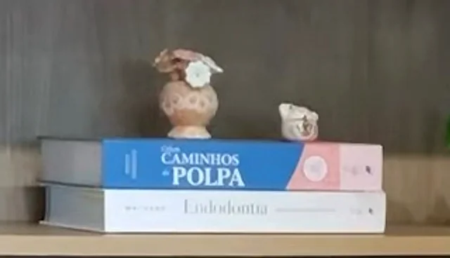 Dois livros deitados na estante do consultório: Caminhos da Polpa e Endodontia.